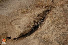 Rekahan tanah disekitar pusat gempa di Tempuran Sungai Opak dan Sungai Oyo di Siluk, Imogiri, Ban...