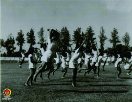 Para atlet putri sedang melakukan senam ditengah-tengah lapangan Kridosono.