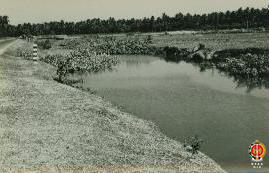 Aliran sungai Bendungan Samas dan titik Bendung Samas untuk pembagian air ke lokasi-lokasi pertan...