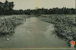 Pembangunan Bendungan Samas. Aliran sungai di lokasi pembangunan Bendungan Samas. Gambar diambil ...