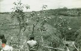 Wakil Gubernur Sri Paduka Paku  Alam VIII menanam tanaman menandai gerakan penghijauan di Gunungk...