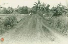 Jalan Desa di Sariharjo, Sleman