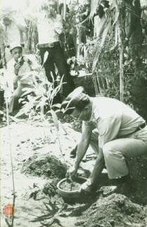 Wakil Gubernur Paku Alam VIII menanam pot tanaman menandai gerakan penghijauan di Gunungkidul